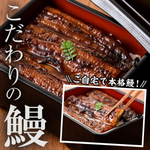 i505 鹿児島県産うなぎ蒲焼2尾セット(約140g×2・計約280g) うなぎ 鰻 ウナギ 2尾 蒲焼き 国産 鹿児島県産 焼きたて 生産量日本一 真空パック おかず 晩御飯 特別な日 土用の丑の日【薩摩川内鰻】