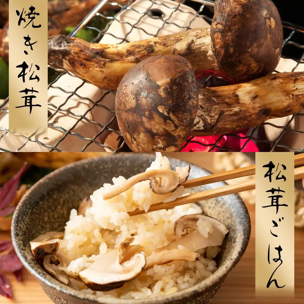 松茸　北海道　300g ④　国産 国産松茸（つぼみ）300g前後（4本から12本前後） 送料無料 クール便