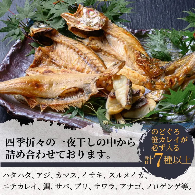 のどくろ、笹カレイ入り 一夜干し詰め合わせ プラチナ