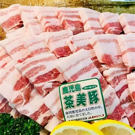 【ブランド豚】茶美豚バラ串　20本_肉  豚肉 _【配送不可地域：離島】【1230725】