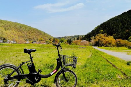 【電動アシスト自転車でラクラク！】ガイド付き観光サイクリングツアー（ペアチケット）＜サイクリングホリデー小川町＞【埼玉県小川町】[142]