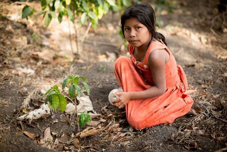 メール便発送【訳あり】フェアトレード ブレンドコーヒー 富士山の湧き水で磨いた スペシャルティコーヒー 粉 320g 珈琲 フェアトレード スペシャルティ 挽き立て 珈琲 