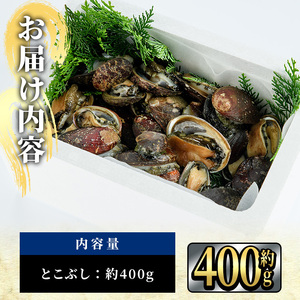 天然 トコブシ (約400g・ハーフサイズ) 魚介 貝 トコブシ とこぶし 網焼き バター焼き バーベキュー 獲れたて 冷蔵 海の直売所 大分県 佐伯市【AS107】【海べ】