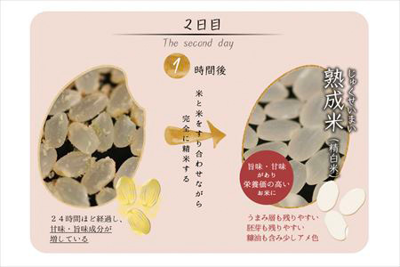 令和7年産 (熟成米) 佐賀県唐津産 さがびより 5kg×2(合計10kg) ご飯 ごはん 白米 お米 コメ
