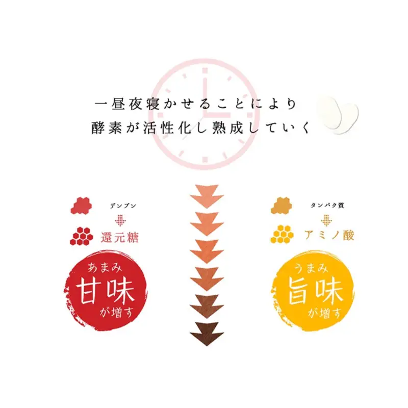 令和7年産 (熟成米) 賀県唐津産 特別栽培米 夢しずく 5kg×2(合計10kg）ご飯 ごはん 白米 お米 コメ