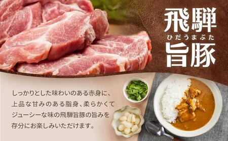 飛騨牛A5等級 カレー（2食）＆ 飛騨旨豚（バラ1食・もも1食）カレー 食べ比べセット  AK005