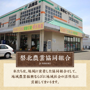 【令和7年度米】【6ヶ月定期便】JA梨北米（精米）10kg おまかせ銘柄 梨北信玄米コシヒカリ 武川コシヒカリ 農林48号 コシヒカリ 山梨県産 つやひめ 甘み 粘り 山梨最大の米処 北杜市武川町産 [h067]