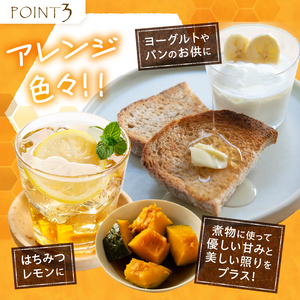天然アカシヤハチミツセット(1000g×2) 天然 アカシヤ ハチミツ 2本 計2kg 水あめ不使用 非加熱 クセがない すっきり 食べやすい 使いやすい 蜂蜜 はちみつ ハニー ギフト 山梨県 北杜市 送料無料 [h141]