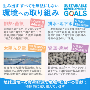 1.5倍長巻 トイレットペーパー 「ルルパ」 シングル 72ロール (12R×6パック) (1ロール 75m) 108ロール同等 パルプ100% ふんわり 富士山の天然水使用 無地 無色 コンパクト 長持ち 長巻き 防災 備蓄 日用品 消耗品 生活用品 富士市 [sf002-101]