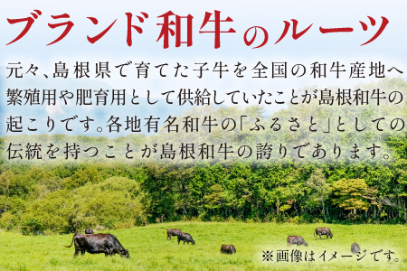 三瓶の極み 島根和牛A5 焼肉用500g