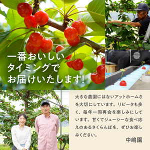 【2026年発送】さくらんぼ 1000g（特秀品・2L 以上）　さくらんぼ 佐藤錦 紅秀峰 [h052]