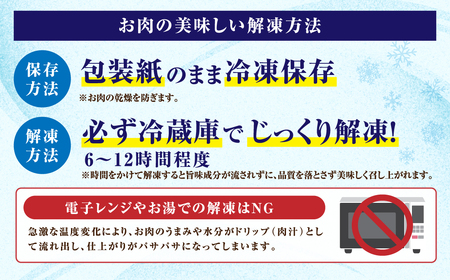 和牛入り 自家製 ハンバーグ 10個 肉 牛肉 福島県 田村市