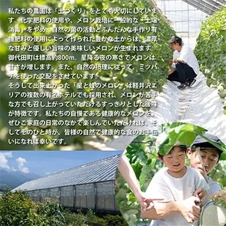 【令和8年度産先行受付】星と蜂のメロン　Lサイズ2玉_果物・フルーツ メロン  めろん_【配送不可地域：離島】【1099062】