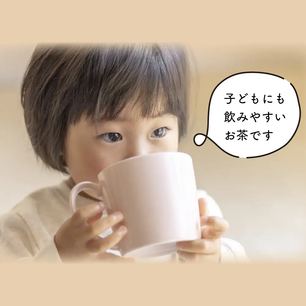 【フィルターインボトル付き】お子茶ま。ティーパック(10g×15P入り)×2袋 (H047127)