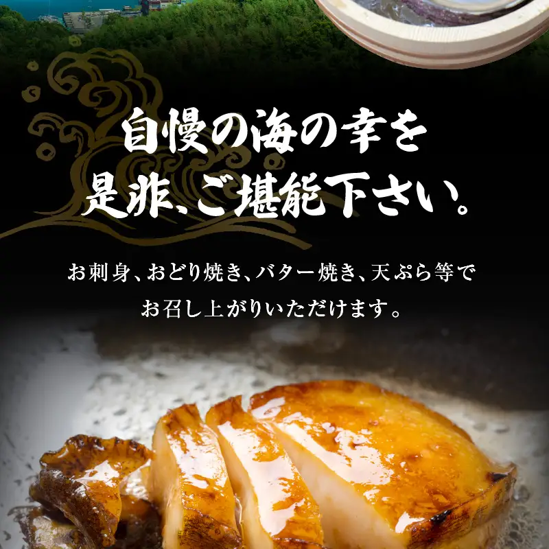 S002-017A_天草産 活あわび・さざえ　浜焼きセット　　約2～3人前