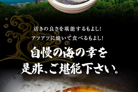 S002-020A_【期間限定】天草の旬！バーベキューセット　約3人前