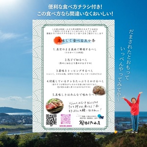 カツオのわら焼きタタキ１節（冷凍）≪カネアリ水産≫ 