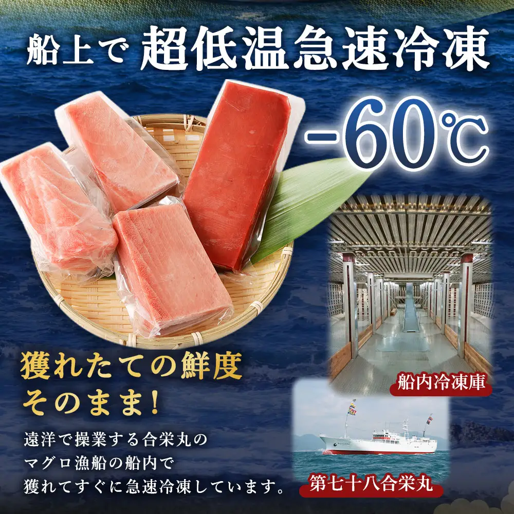 天然マグロ 2種 約600g 【まぐろ】ge005