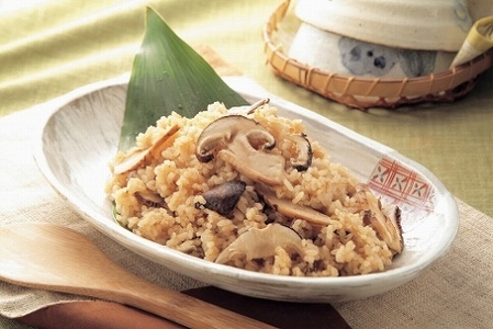 松茸 国産「高野松茸」約200g【化粧箱入】2026年発送【S021-mtgn012】