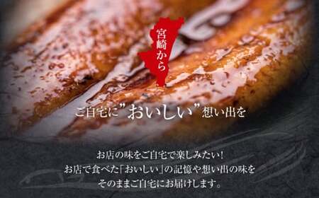 うなぎ 蒲焼 うなぎ[国産 2尾 肝焼き付]