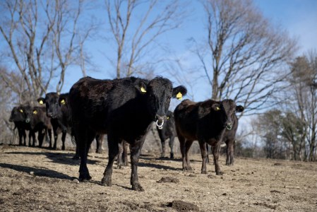 但馬家幸之助お食事券【3000円分】 [h142]