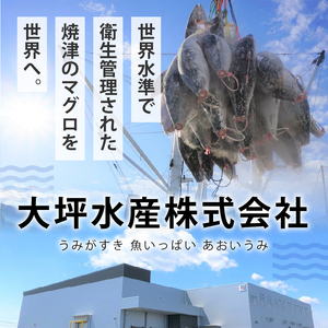 a11-043　まぐろ 赤身 ねぎとろ お楽しみ 焼津 詰合せ セット S2