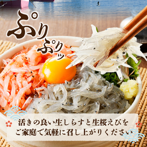 a30-221　【定期便 3回】 焼津産生しらす(100g×3) 生桜えび(70g×3個)