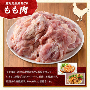 若どりモモ肉(計12kg・2kg×6袋) 鶏肉 小分け 冷凍 鶏肉 もも 鶏もも肉 【まつぼっくり】matu-7223