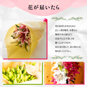オリエンタルリリー（ユリ）旬のミックス 10本 ユリ 花 ユリの花 百合 ゆり 生花 切花 切り花 【宮路園芸】miyaji-7005