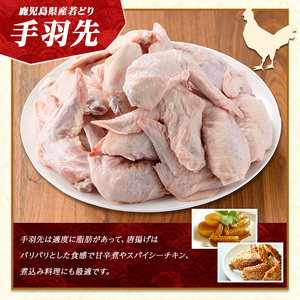 若どり手羽先(計8kg・2kg×4袋)【まつぼっくり】matu-7213