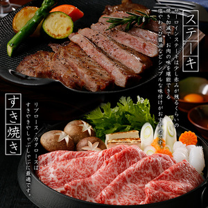 鹿児島黒牛サーロインステーキ2枚・すきやきセット1.0kg_ja-7110R8