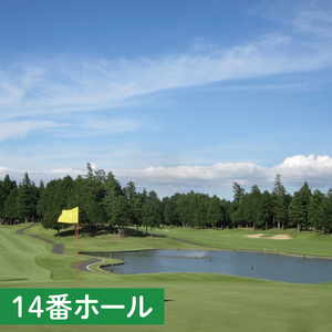 阿見ゴルフクラブプレーご招待券（土日祝4名様）【ゴルフ プレー券 ゴルフ場利用券 阿見町 茨城県】（30-01）