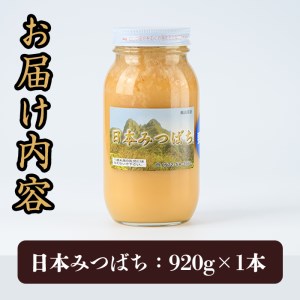 国産 はちみつ (920g) ハチミツ 蜂蜜 ロイヤルゼリー 調味料 スイーツ 多賀さん採蜜 大分県 佐伯市【AY73】【(公財)さいき農林公社】