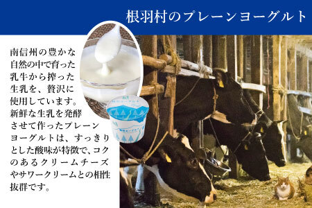 さくさくクッキー生地で大人気！濃厚だけどさっぱり ヨーグルトフロマージュタルト 5号サイズ (約15cm) 