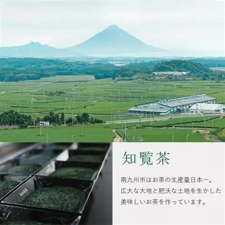 美味しい知覧茶8本セット【1185940】