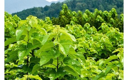 ハンさんのおいしいくわ茶スティック60p×3種セット [5839-1235]