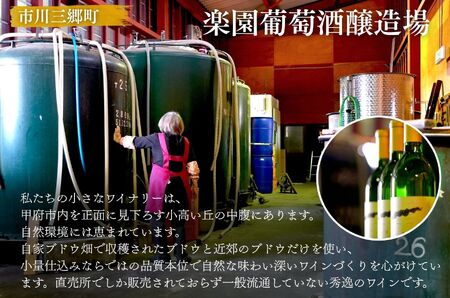 【峡南２町共通返礼品】日本酒純米酒（鷹座巣）・ワイン（楽園ワイン赤）セット[5839-1261]