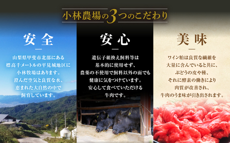 JAS認証 甲州ワインビーフ 赤身 ビーフカレー 6個 レトルト 肉