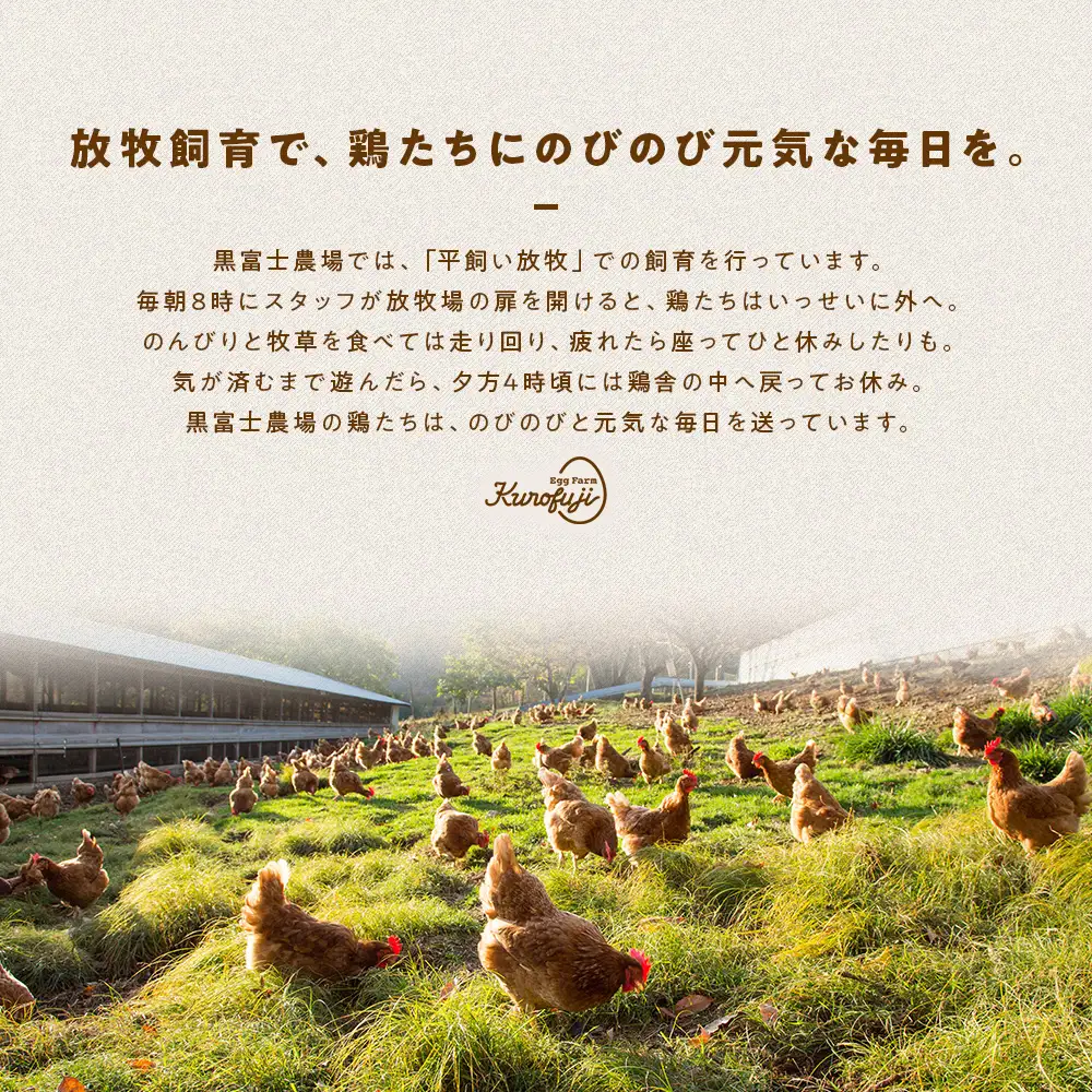 森のバウムクーヘン 2個セットバームクーヘン  B-9