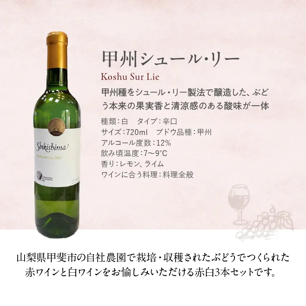 特選3本セット【メルロー & シャルドネ & 甲州シュール・リー】 720ml×3本 敷島醸造 ワイン 赤ワイン 白ワイン わいん シャルドネ ワインセット 辛口 日本ワイン 国産ワイン ギフト お祝い 飲み比べ 山梨 甲斐市 F-20