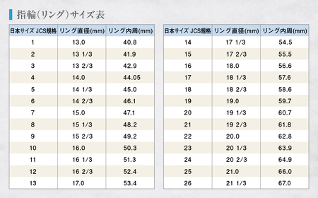 「一生もの」ダイヤハーフエタニティリング ゴールド K18（G.VS）0.36ct [山梨 ジュエリー ダイヤモンドリング ゴールド 指輪 ハーフエタニティ  ] 山梨県 甲斐市 AD-147