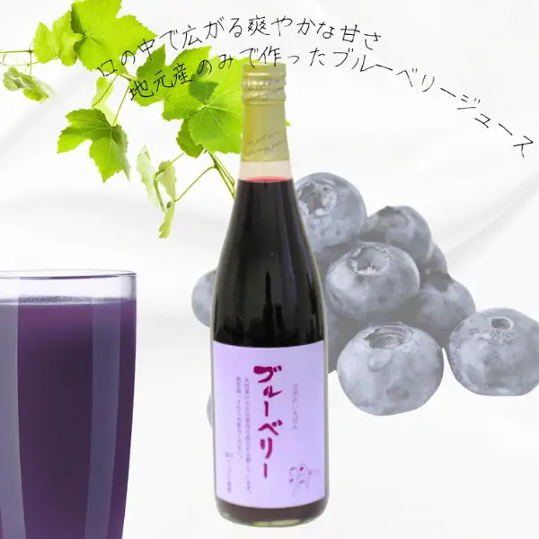 ２種類の果汁ジュースセット［CH-109］