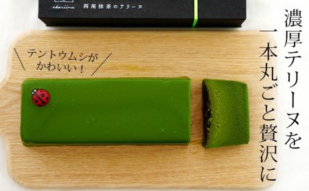 西尾抹茶のテリーヌ　濃厚抹茶スイーツ　テリーヌショコラ(500g)・A165-13-1