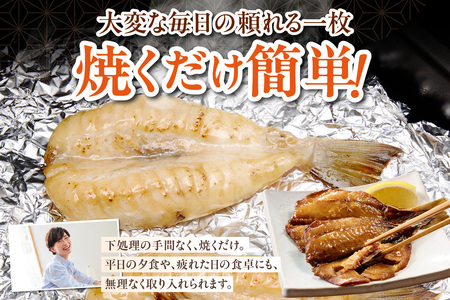 西尾の地魚　干物セット・K015-13