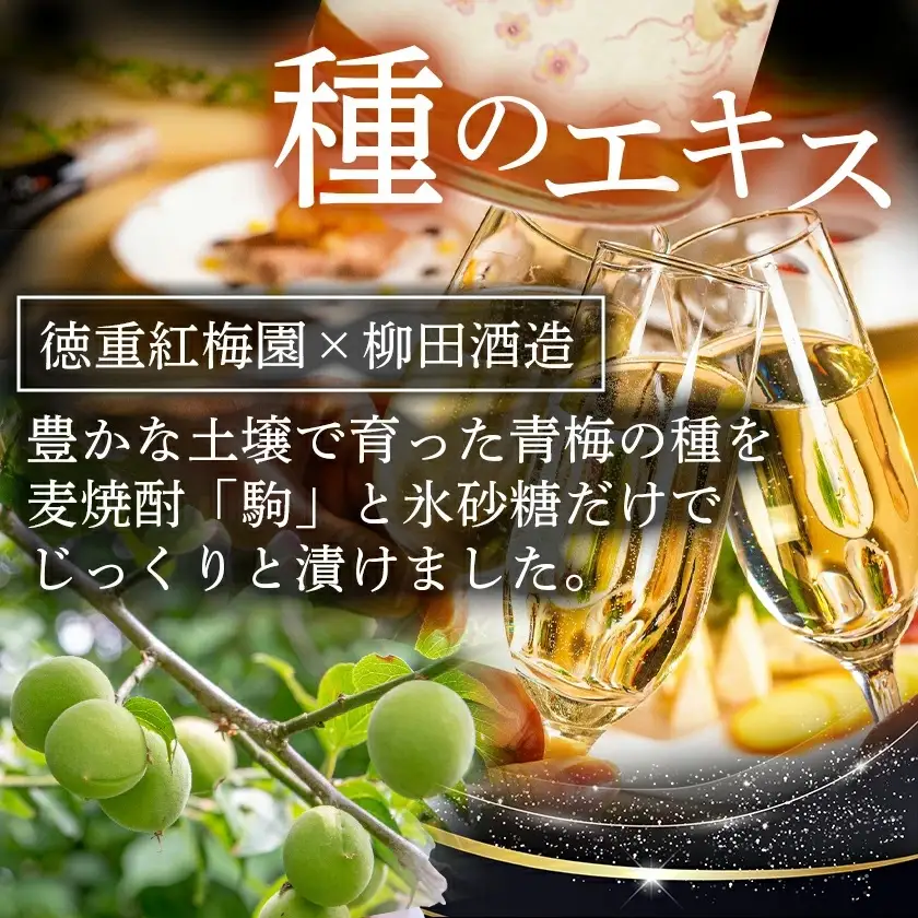 芋焼酎・麦焼酎・たね酒4本セット≪みやこんじょ特急便≫〔AC-35-001〕_(都城市) 芋焼酎 麦焼酎 千本桜 特別仕込み 駒 たね酒 900ml瓶 720ml瓶 計4本セット 