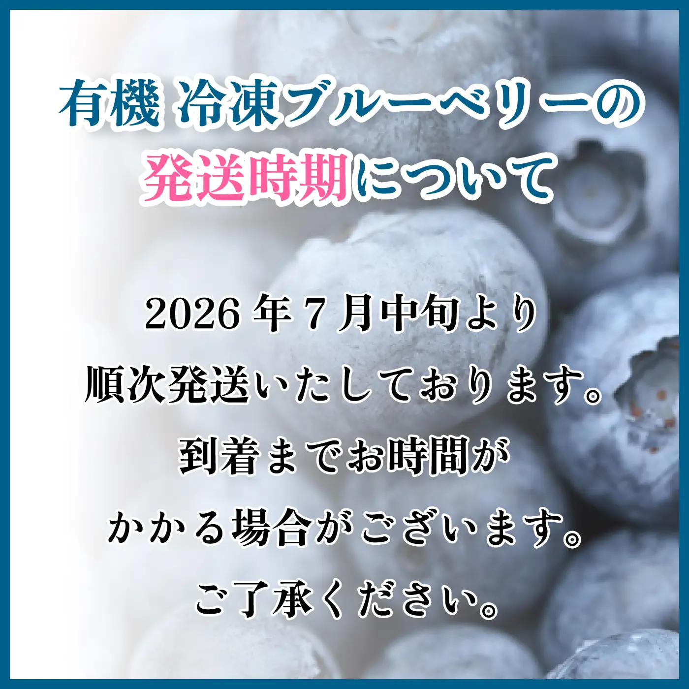 【先行予約】有機 冷凍ブルーベリー1.6kg（400g×4袋)