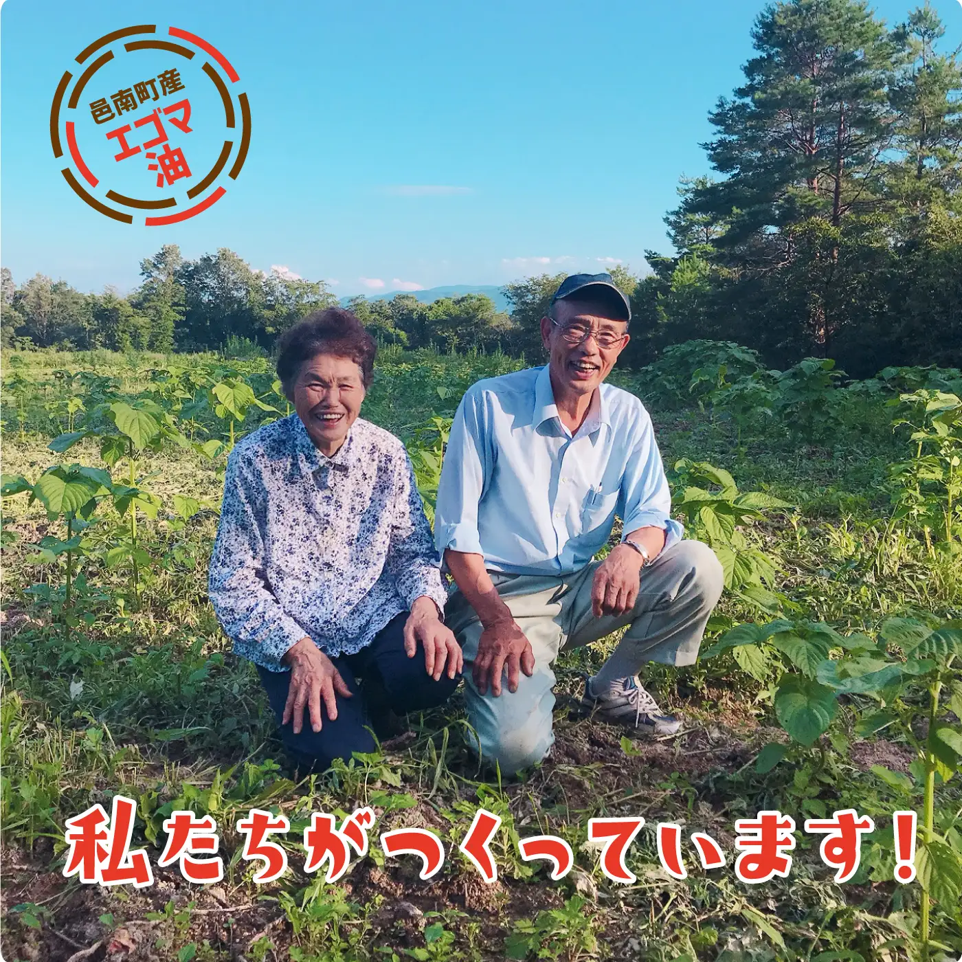 「島根県邑南町産」生しぼりエゴマ油
