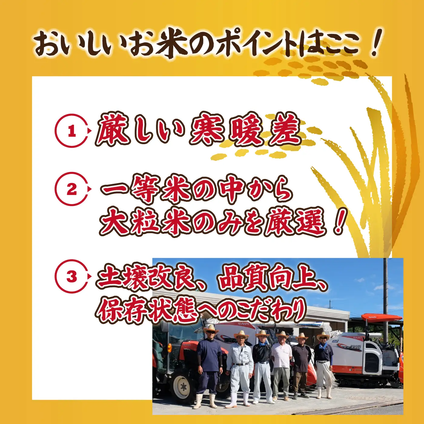 令和7年産邑南町瑞穂産コシヒカリ10kg（5kg×2）