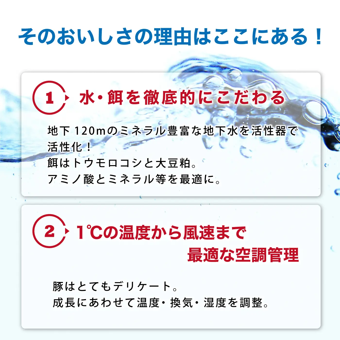 豚肉 石見ポーク BBQスペアリブ