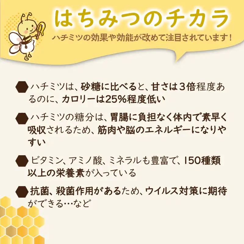 純粋天然ハチミツ300g×2本｜森の百花蜜 はちみつ